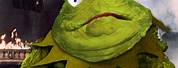 Kermit Frog Face Meme