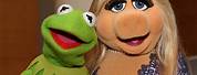 Kermit Frog and Miss Piggy