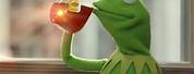 Kermit the Frog Lipton Tea Meme