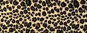 Leopard Print Background Jpg File