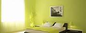 Light Bright Green Wall Paint