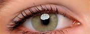 Light Brown Eye Contact Lenses