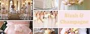 Light Pink and Champagne Wedding Colors