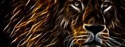Lion Wallpaper Colorful for HP