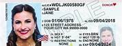 Lois Lee Johnson Washington Driver License