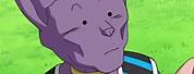 Lord Beerus Funny Faces