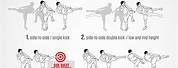 Martial Arts Workout Double Side Kick