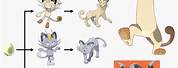 Meowth Evolution Chart