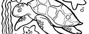 Minecraft Sea Turtle Coloring Pages