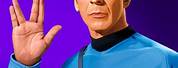 Mr. Spock Star Trek