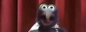 Muppet Show Gonzo Tap Dance