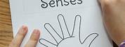 My Five Senses Printable Book for Kids