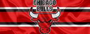 NBA Bulls 2