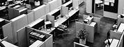 Office Cubicles Black and White