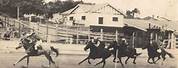 Old Horse Racing Photos Australia