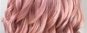 Pastel Rose Gold Hair Color Tips