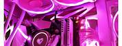Pink CPU Cooler Fan