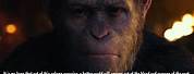 Planet of the Apes Caesar Quotes