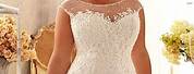 Plus Size Winter Wedding Dresses