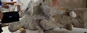 Pompeii Bodies Mother Protecting Child