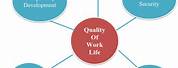 Principles of Quality of Work Life