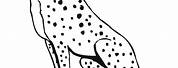Printable Coloring Pages of Cheetah