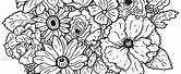Printable Colouring Sheets for Kids Flowers