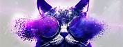 Profile Pictures Galaxy Cat Art