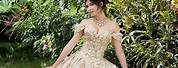Quinceanera Dresses Champagne Gold