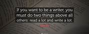 Quotes About Writing a Novel