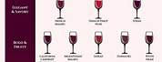 Red Wine Sweetness Chart
