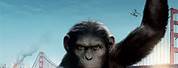 Rise of Planet of the Apes Movie List