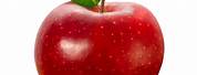 Royalty Free Red Apple