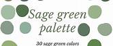 Sage Green Color Palette for Logo