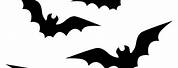 Scary Halloween Black and White Bat