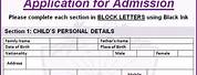 School Admission Form Sample