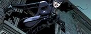 Selina Kyle Catwoman Animated Wallpapers