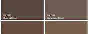 Sherwin-Williams Dark Brown Paint Colors