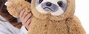 Sloth Stuffed Animal Living Rainforest