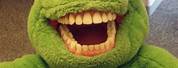 Smiling Frog Human Mouth