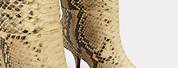 Snake Skin Boots Cape Town