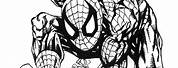Spider-Man Coloring Book Black and White