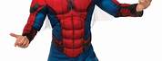 SpiderMan Costume