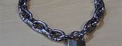 Stainless Steel Chain Collar