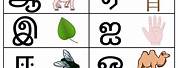 Tamil Alphabets Worksheet for Kids