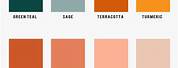 Terracotta and Peach Color Scheme