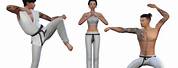 The Sims 4 Martial Arts Poses