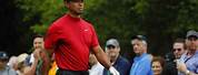Tiger Woods Sunday Red Apparel