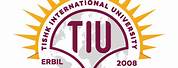 Tisk University Logo PSD