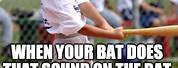 Tolerant Left Baseball Bat Meme